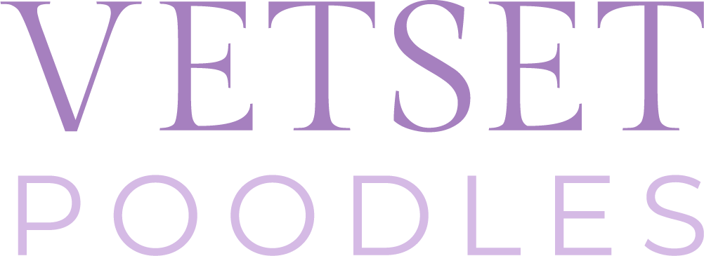Vetset Poodles Logo