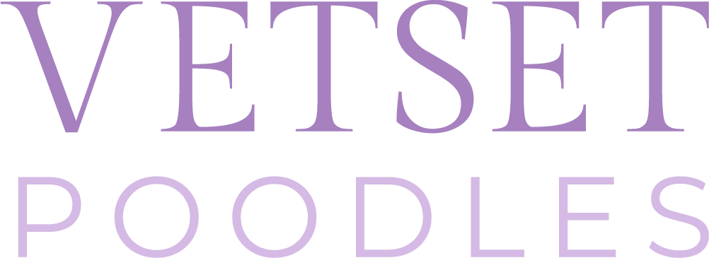 Vetset Poodles Logo